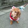 隈元 治子 さんのサムネイル