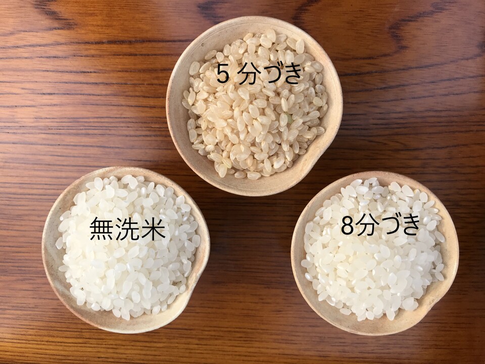 令和4年度コシヒカリ30kg 食品 | madamespoons.com