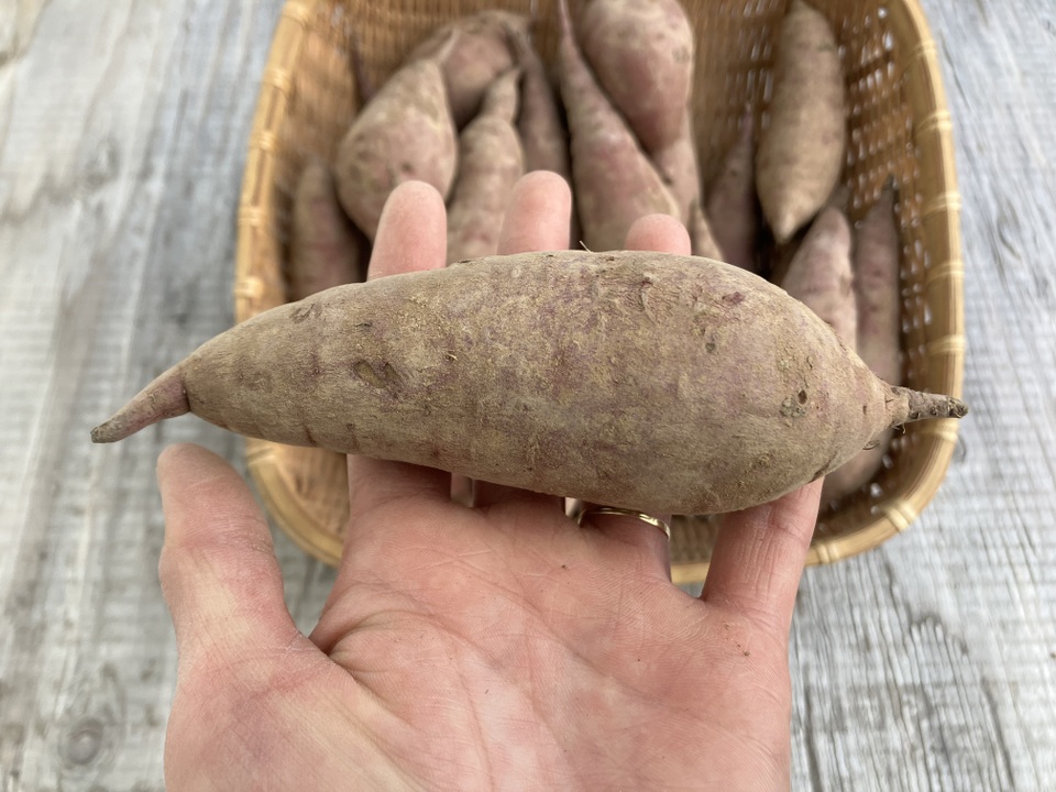 自然栽培〈Sサイズ べにはるか〉大分県産さつまいも サイズ混合10kg：大分県産のべにはるか｜食べチョク｜産地直送(産直)お取り寄せ通販 ...