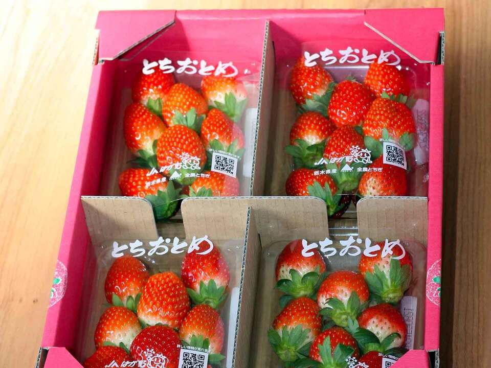 【いちご・とちおとめ】甘くて大粒いちご★どどーんと(8パック)「とちおとめ」 栃木県産いちご：栃木県産｜食べチョク